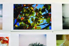 summertime-exhibition-sea-almond-lomo-3