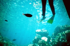 legs-and-fish