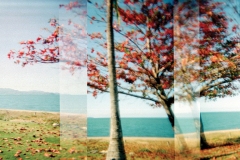 holgarama-the-strand