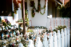 gnometopia