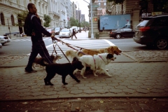dog-walker