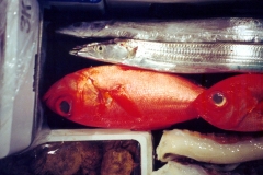 tokyo-fish-market-1